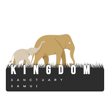 elephant kingdom sanctuary